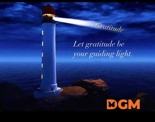 Seeing through the lens of gratitude is your true north...