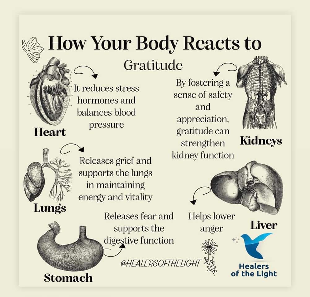 How Your Body Reacts To Gratitude